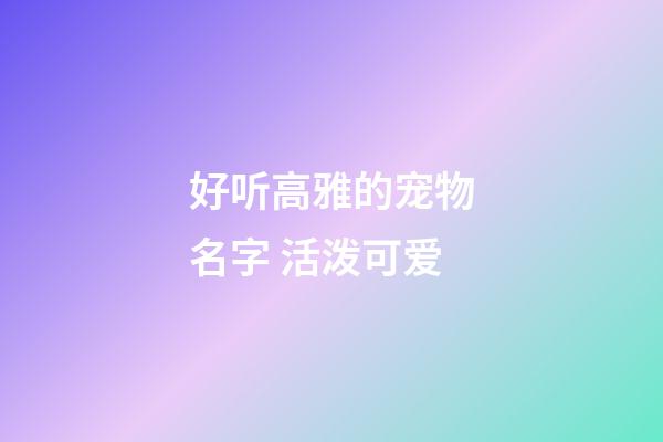 好听高雅的宠物名字 活泼可爱
